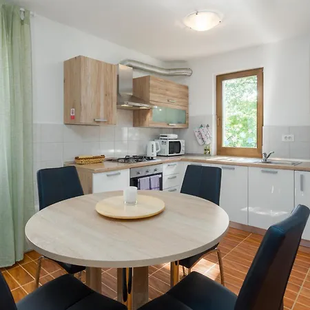 Family Friendly House With A Swimming Pool Lindar, Istria - Sredisnja Istra - 14189 Holiday home *